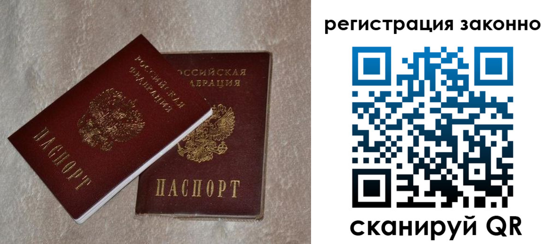 прописка законно в Вольске